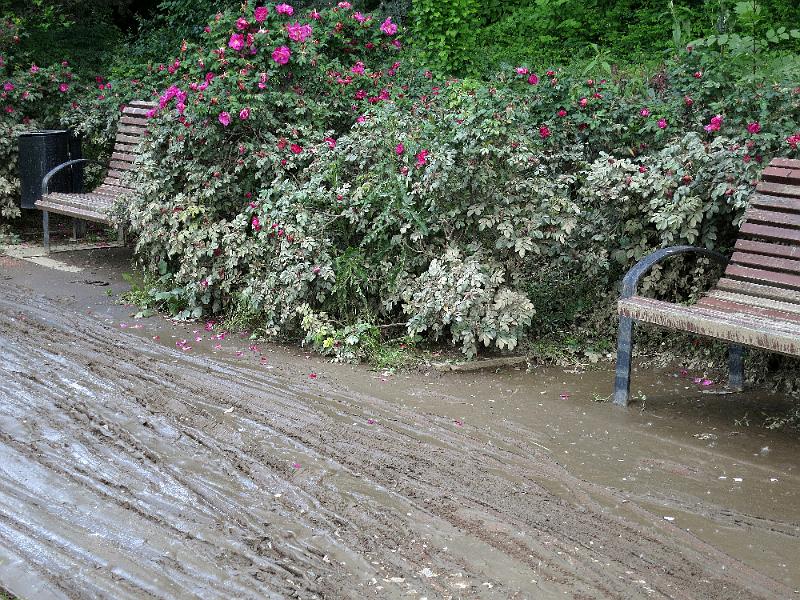 Hochwasser (323).JPG